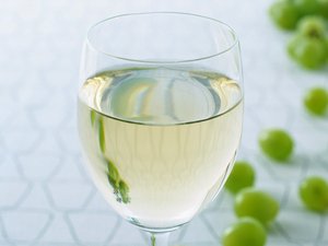 工具全面对比分析